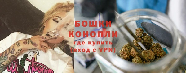 гидра Арсеньев