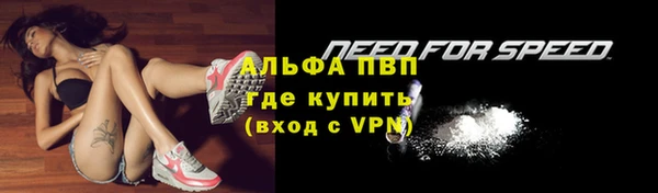 гидра Арсеньев