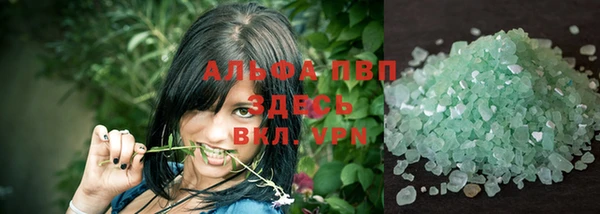 гидра Арсеньев