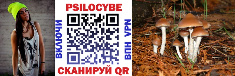 Псилоцибиновые грибы GOLDEN TEACHER даркнет наркотические препараты Ахтубинск